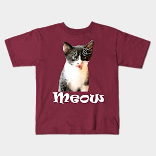 Meow Cute Kittens Cats Kids T-Shirt